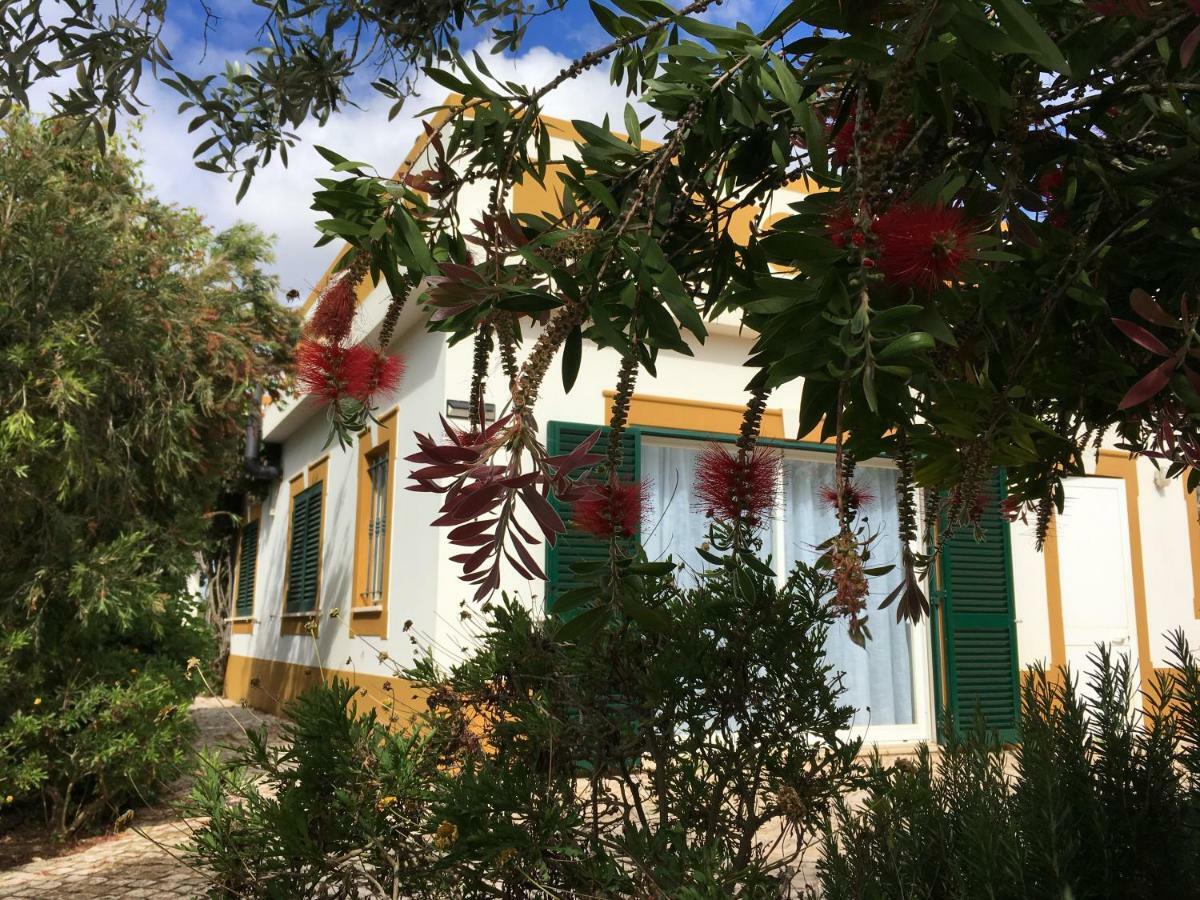 Casa Guerreiro Apartamento